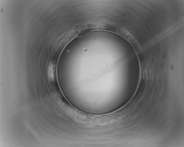 X0000057060026200509091208