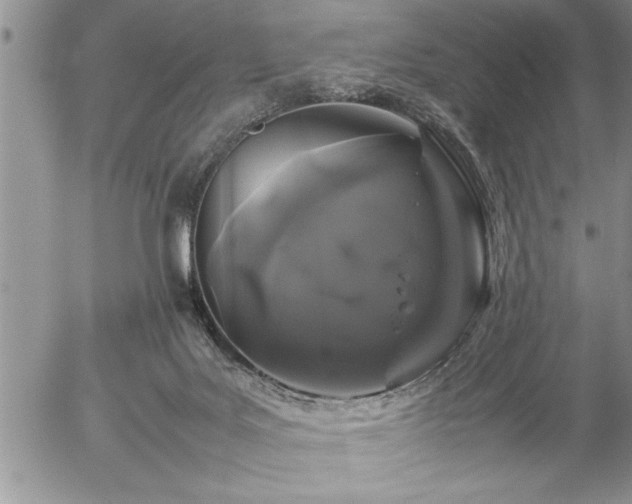 X0000057060027200509091208