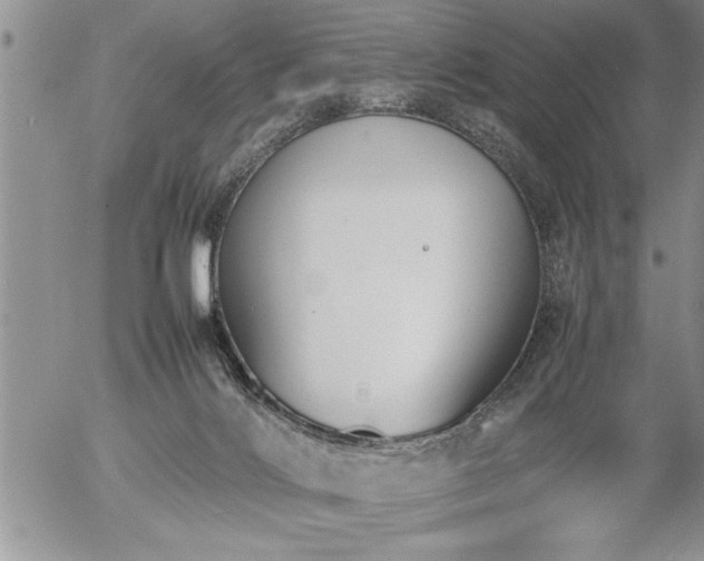 X0000057060028200509091208