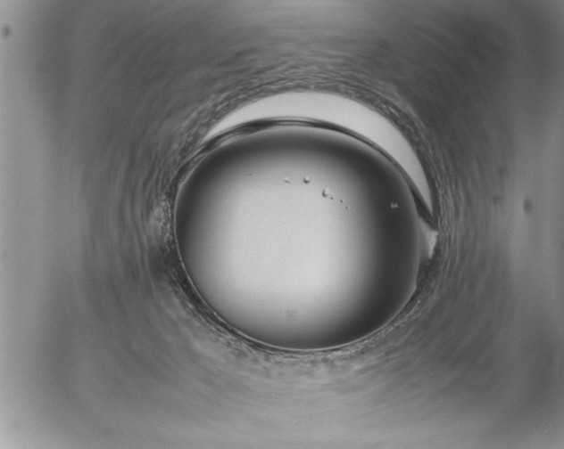 X0000057060029200509091208