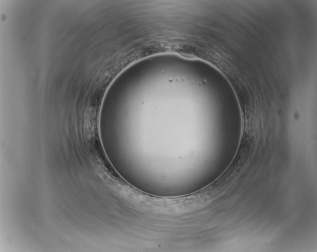 X0000057060030200509091208