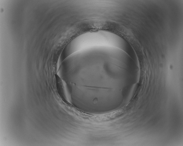 X0000057060031200509091208