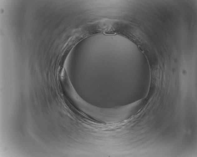 X0000057060035200509091208