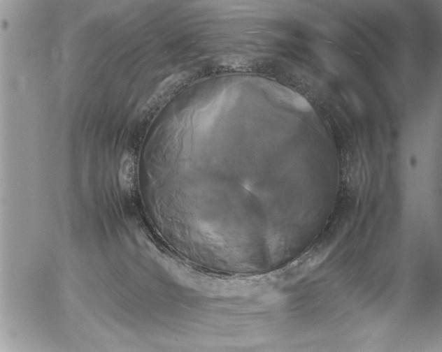 X0000057060036200509091208