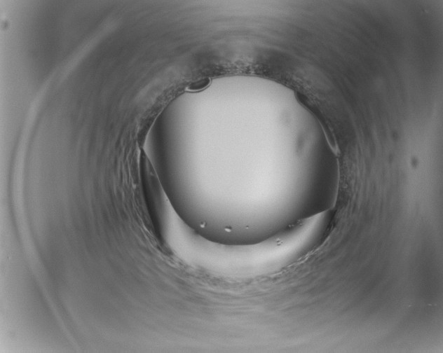 X0000057060037200509091208