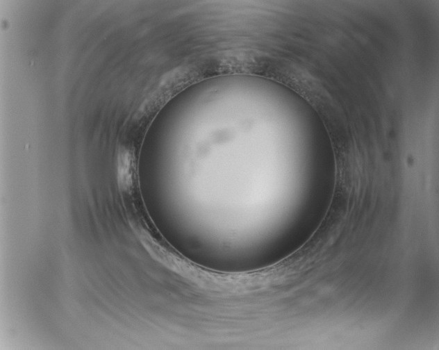 X0000057060038200509091208