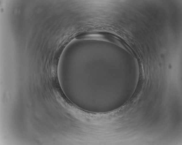 X0000057060039200509091208