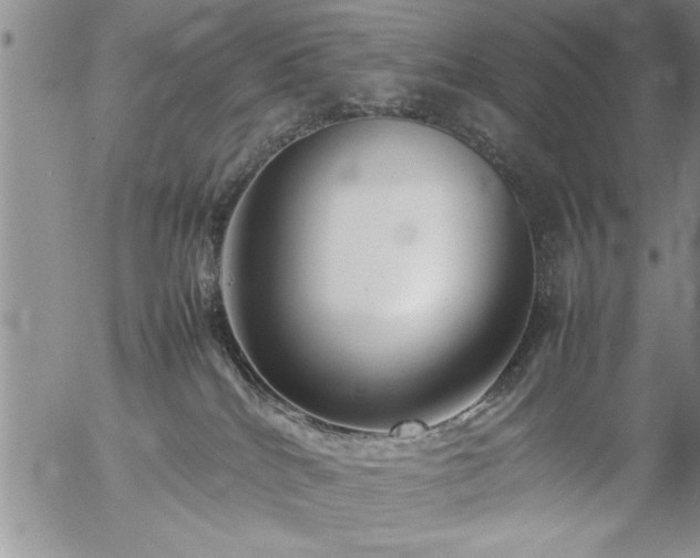 X0000057060040200509091208