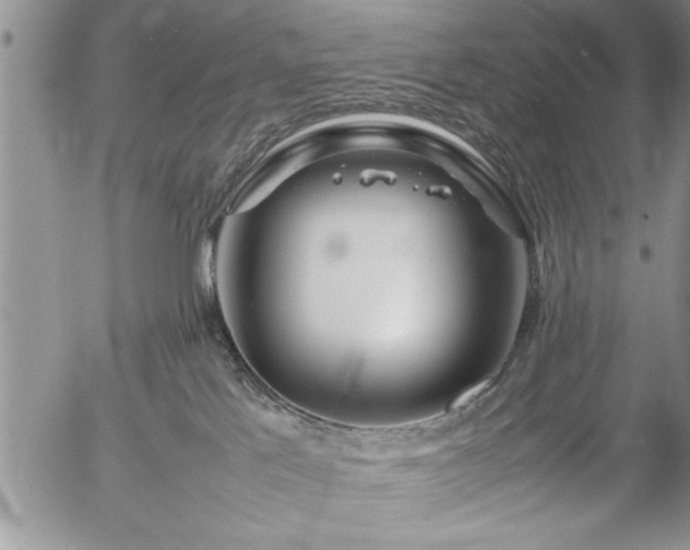 X0000057060041200509091208