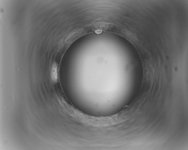 X0000057060042200509091208