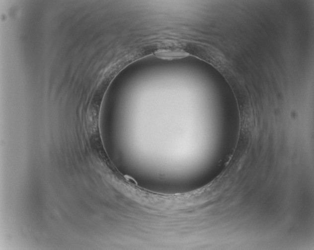 X0000057060043200509091208