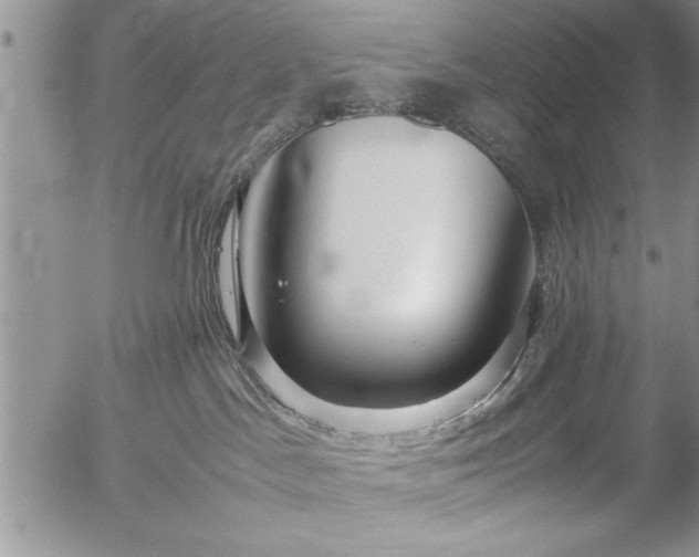 X0000057060045200509091208