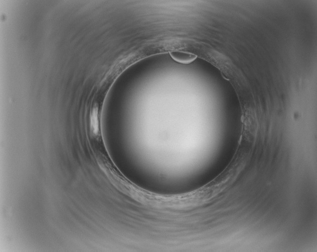 X0000057060046200509091208