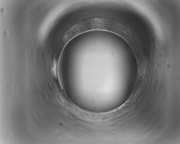 X0000057060047200509091208