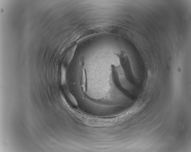 X0000057060048200509091208