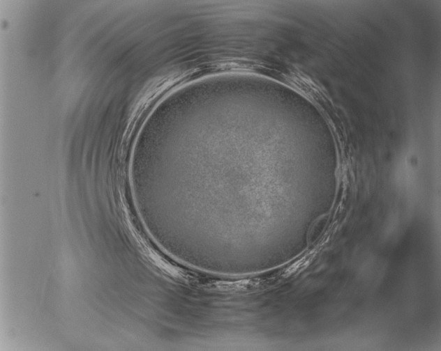 X0000057060049200509091207