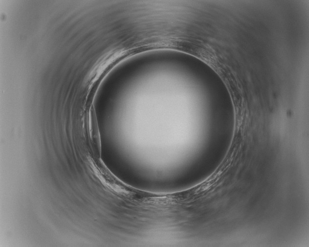 X0000057060050200509091207