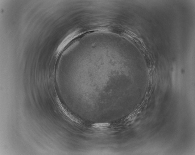 X0000057060051200509091207