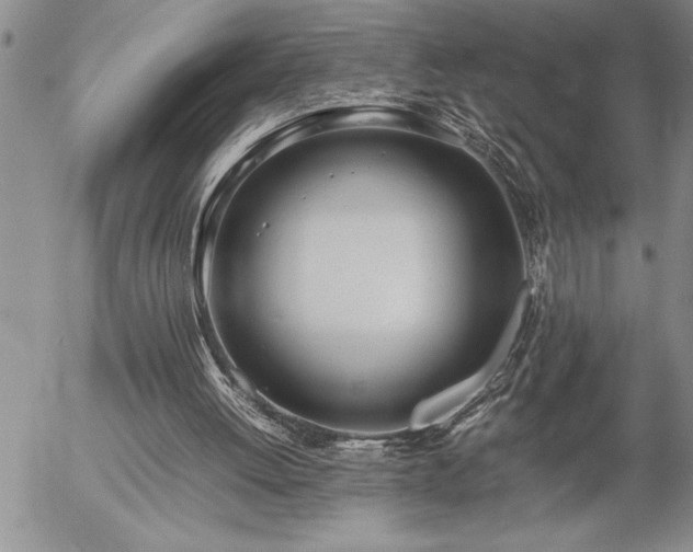 X0000057060052200509091207