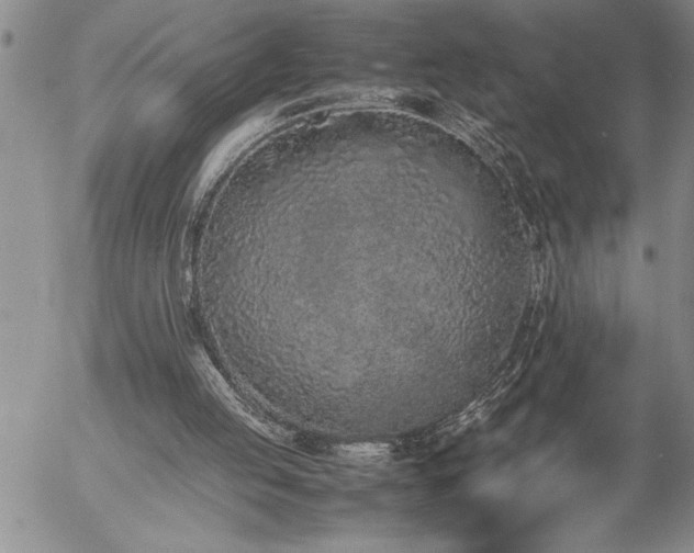 X0000057060053200509091207