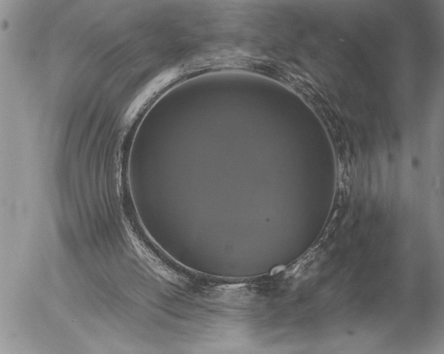 X0000057060054200509091207