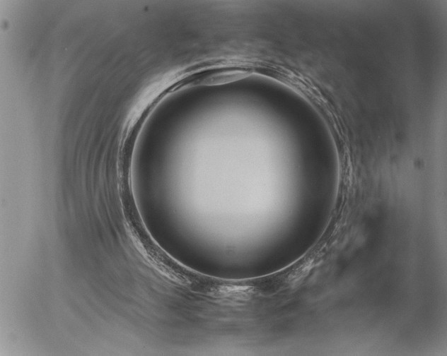 X0000057060055200509091207