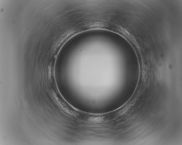 X0000057060057200509091207