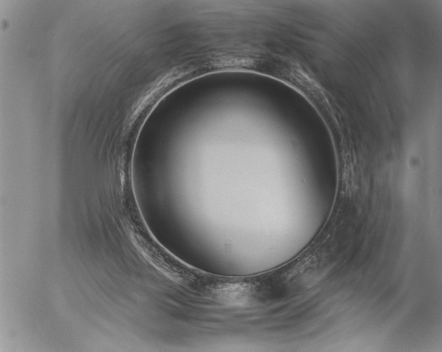 X0000057060059200509091207