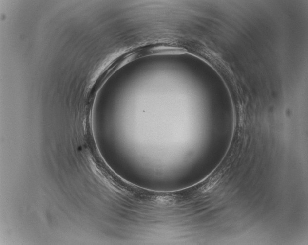 X0000057060060200509091207