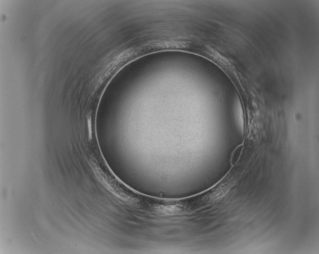 X0000057060061200509091207