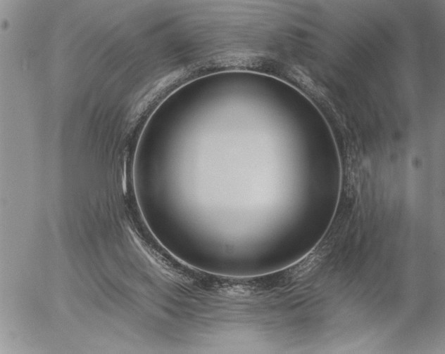 X0000057060062200509091207