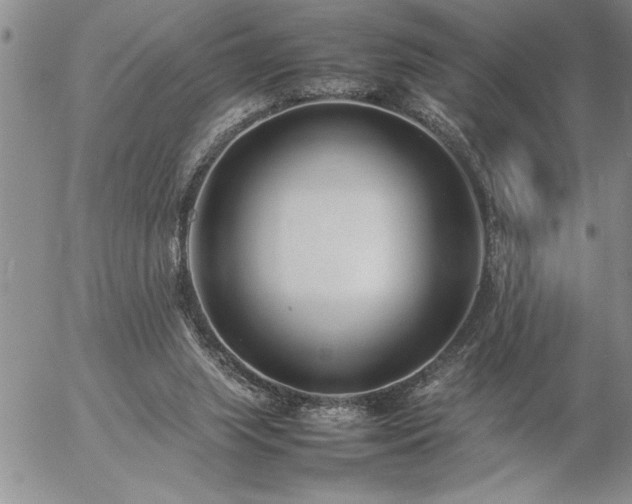 X0000057060063200509091207