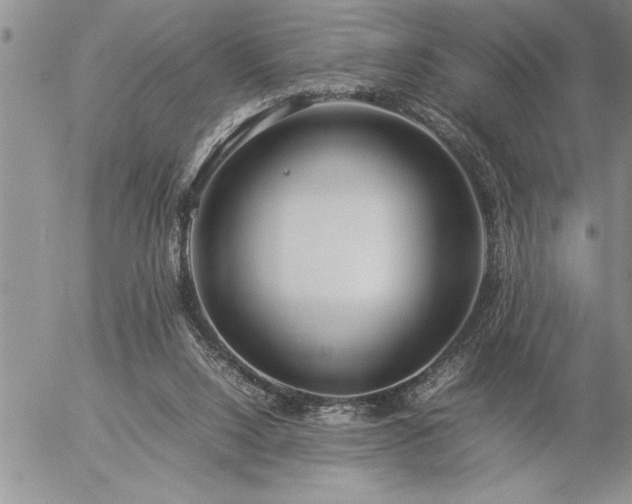 X0000057060064200509091207