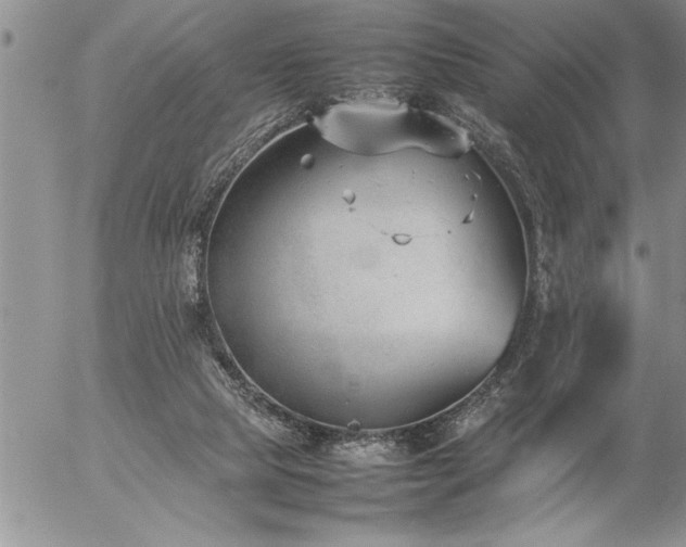 X0000057060065200509091207