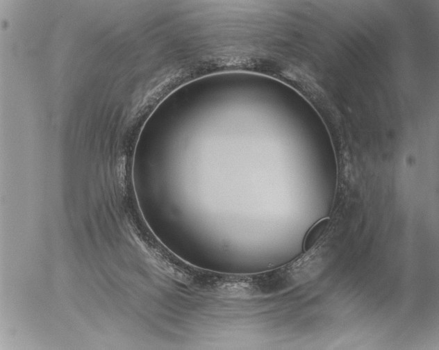 X0000057060066200509091207