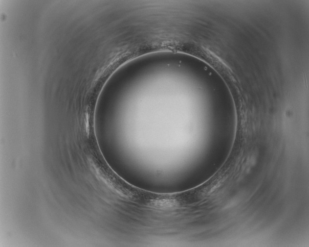 X0000057060067200509091207