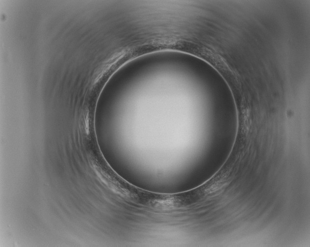 X0000057060068200509091207