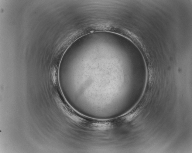 X0000057060069200509091207