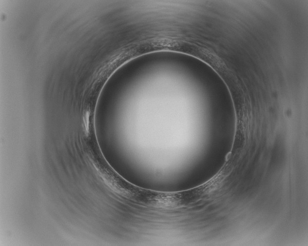 X0000057060070200509091207