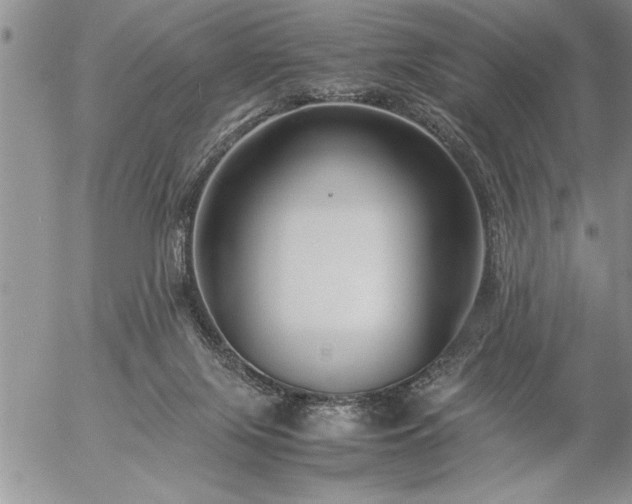 X0000057060071200509091207