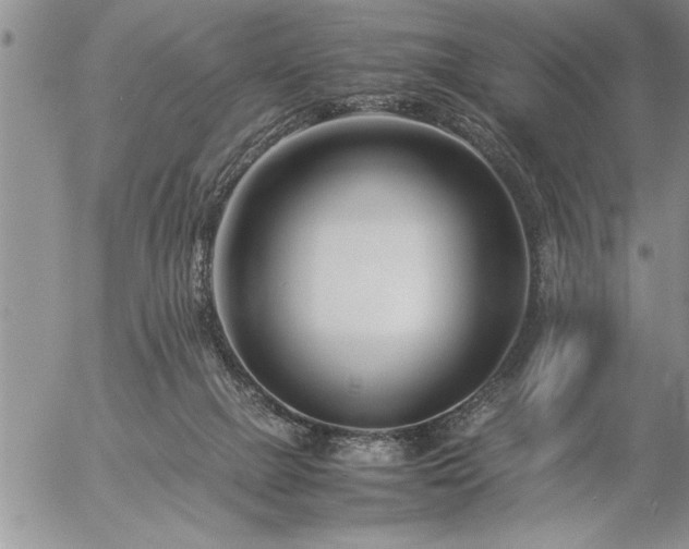 X0000057060073200509091207