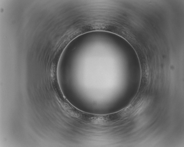 X0000057060074200509091207