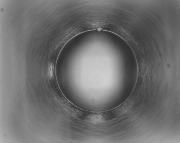 X0000057060075200509091207