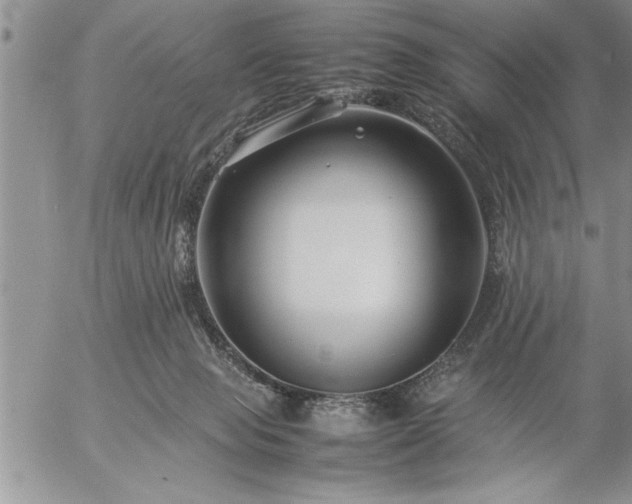 X0000057060077200509091208