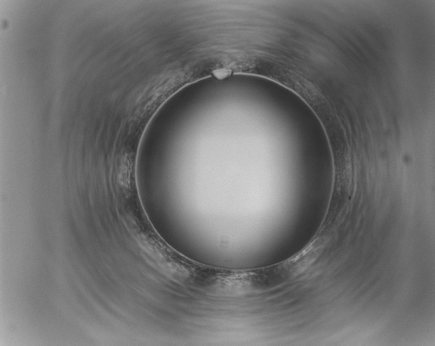 X0000057060078200509091208