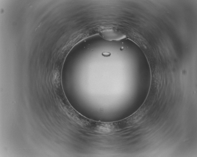 X0000057060079200509091208