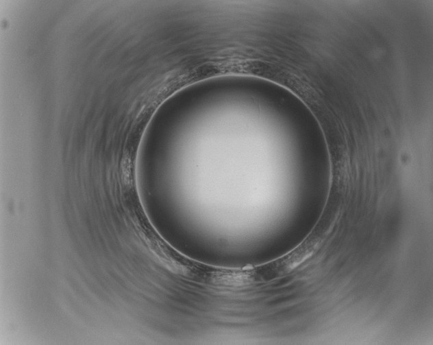 X0000057060081200509091208