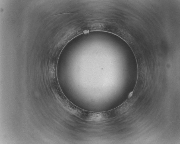 X0000057060083200509091208