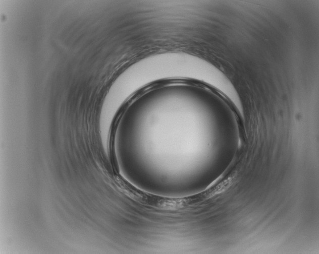 X0000057060084200509091208