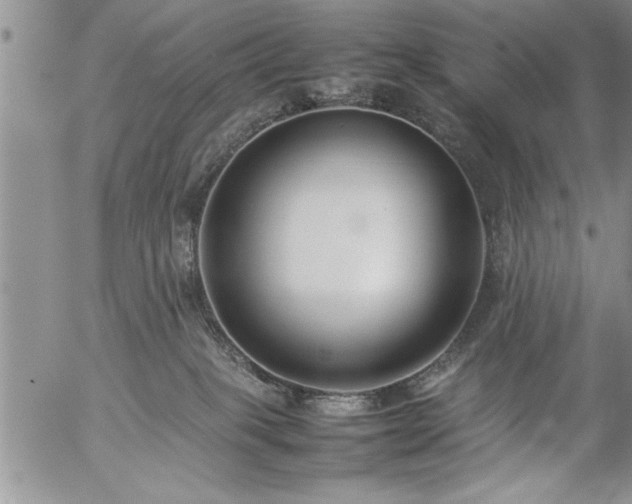 X0000057060085200509091208